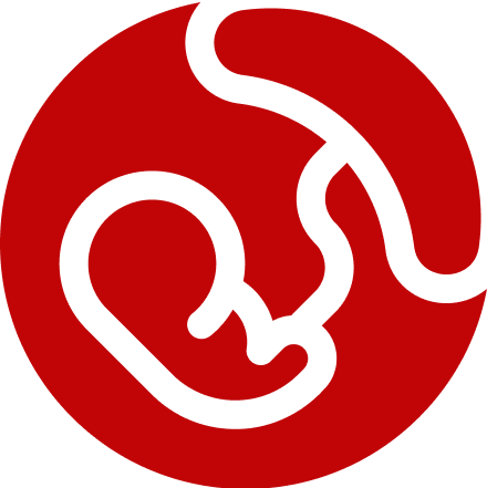 النساء والولادة